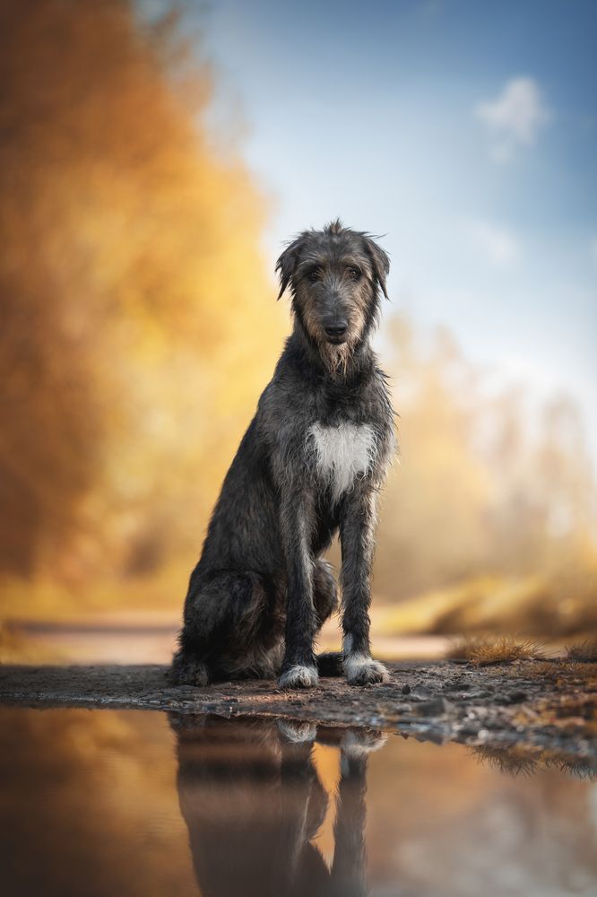 Photograph by Людмила Богуш