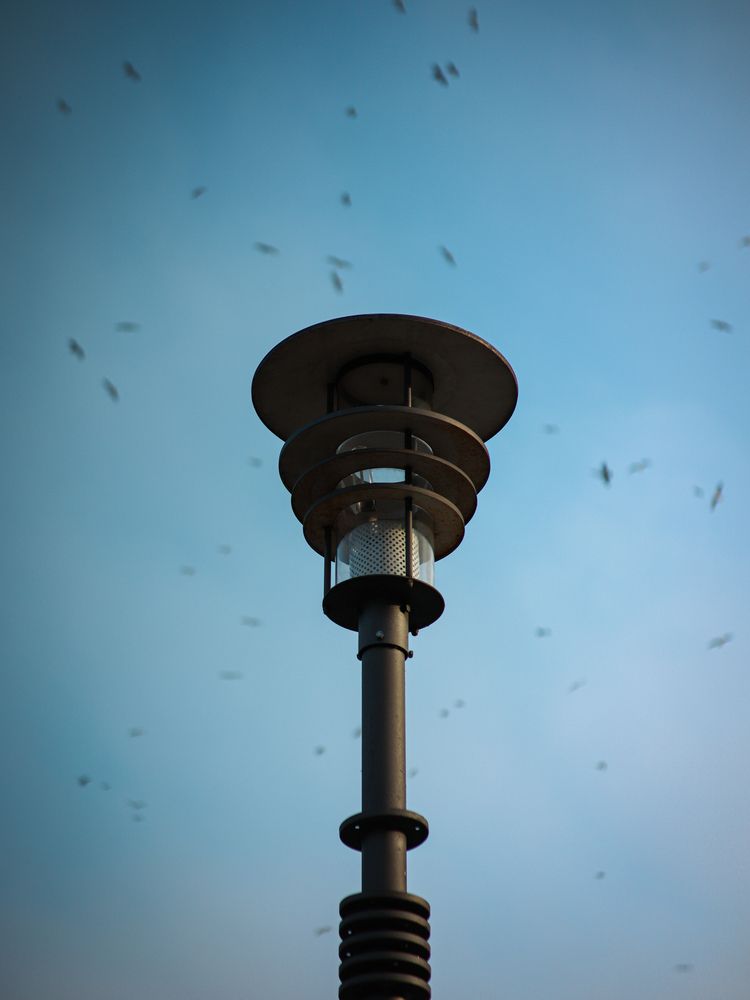 Фотография автора андрей