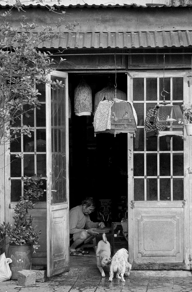 Photograph by Алёна Сергеева