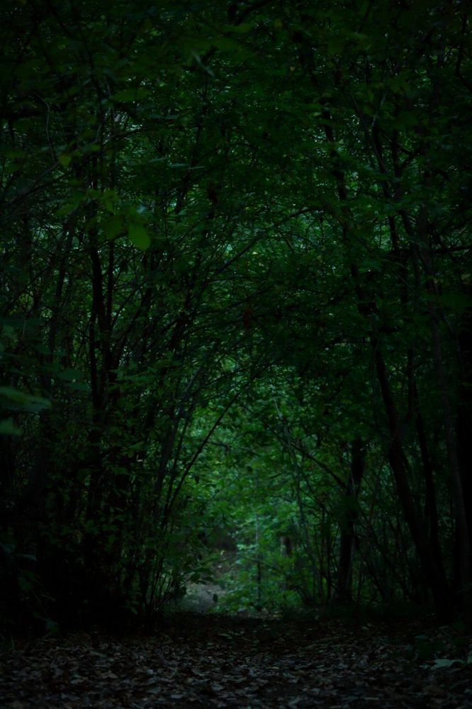 Photograph by Светлана Дорофеева