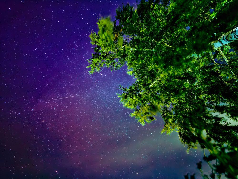 Photograph by Рослякова Елена