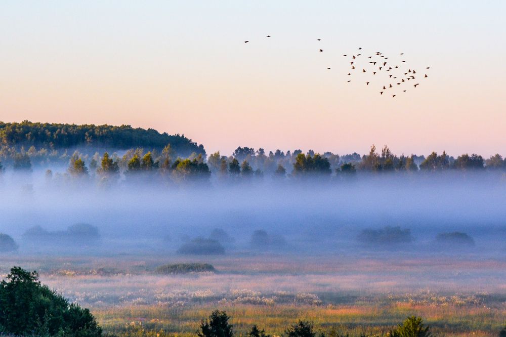 Photograph by Анастасия Гурова