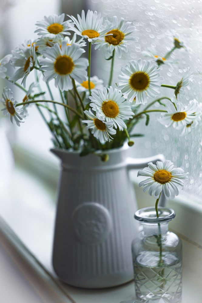 Фотография автора Елена Разина