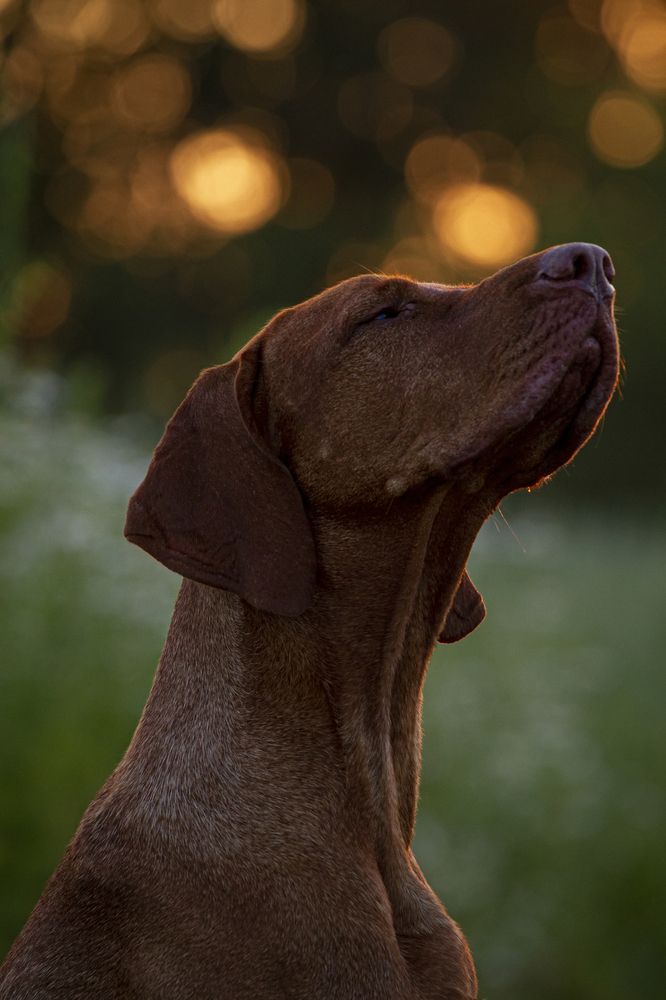 Photograph by Эльнара Исаева