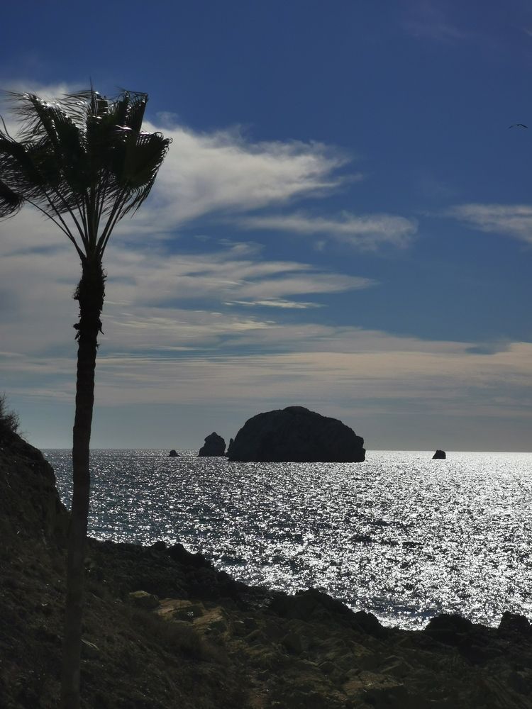 Photograph by Manuel Alencaster villalva