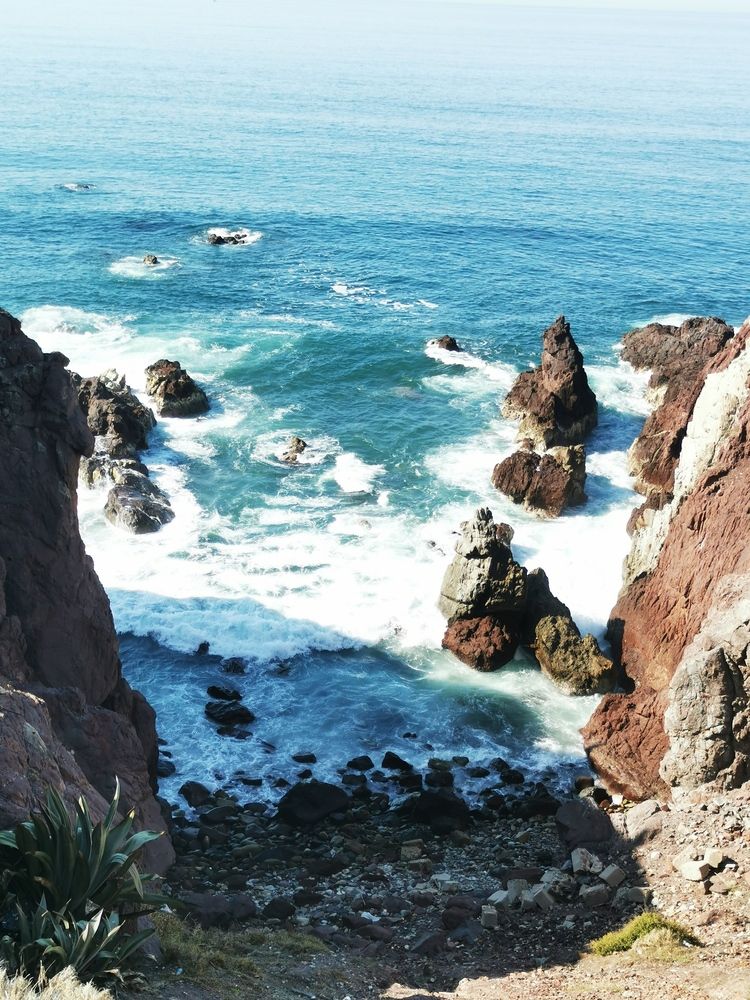 Photograph by Manuel Alencaster villalva