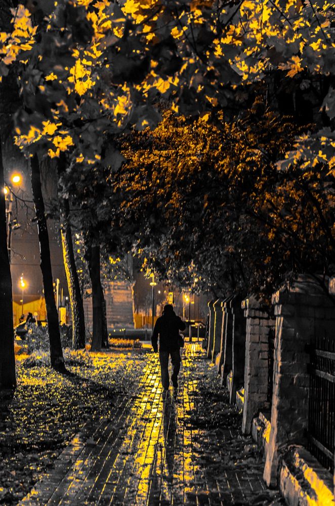 Дождь прячет слезы