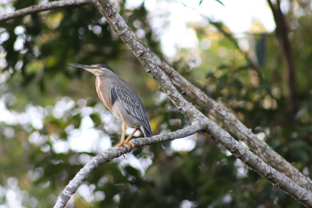 Photograph by Juliana