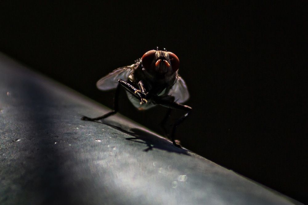 Photograph by Omar Khaled Ibrahim El Sayad