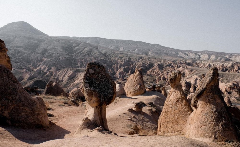 Photograph by Алёна Сергеева