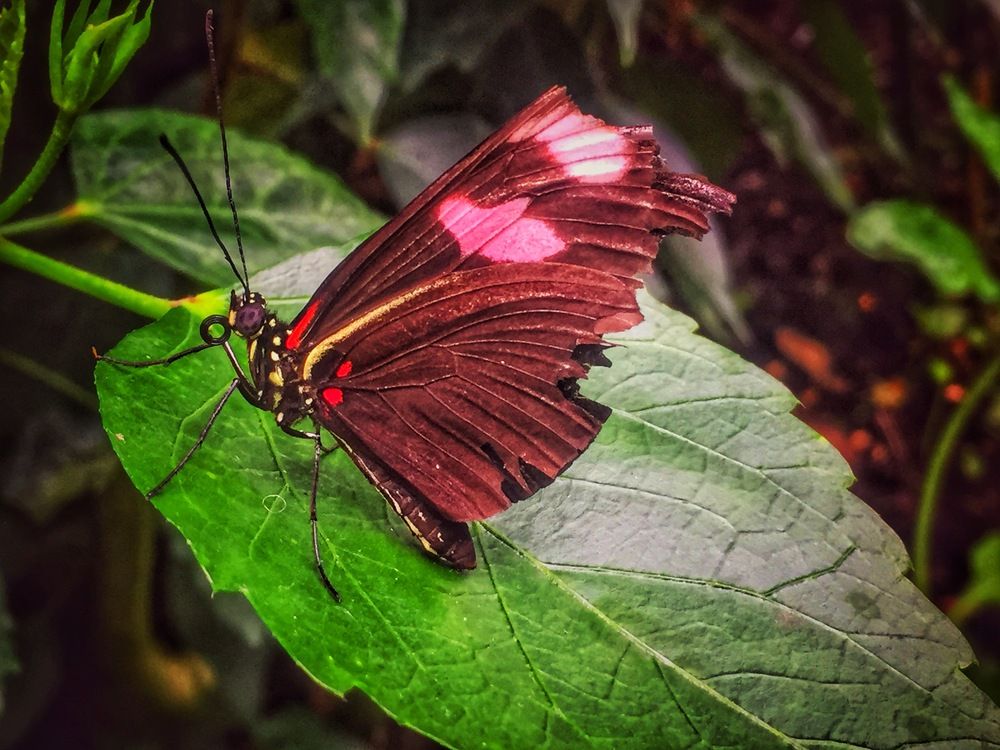 Photograph by Omar Khaled Ibrahim El Sayad