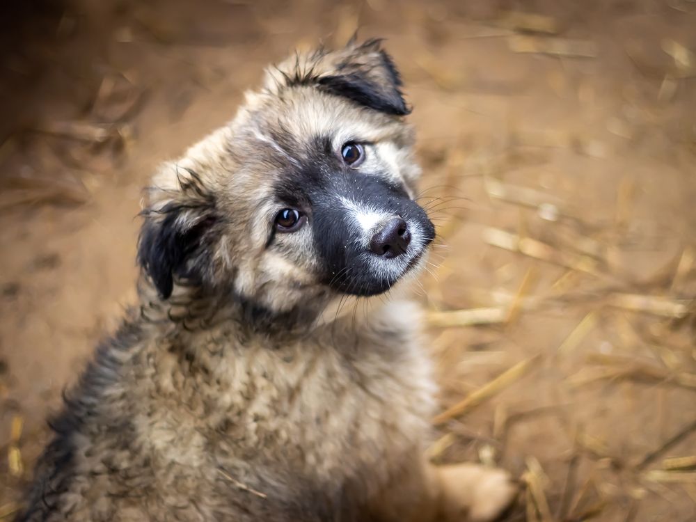 Photograph by Оксана Кудрявцева