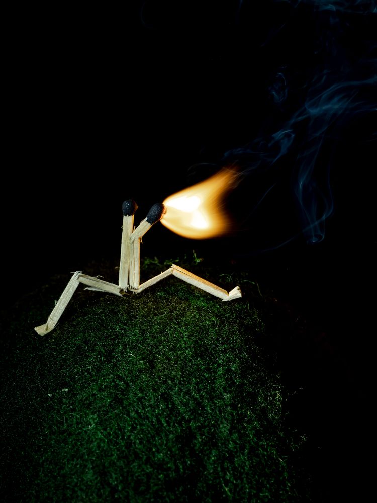 Photograph by Игорь Толкачев