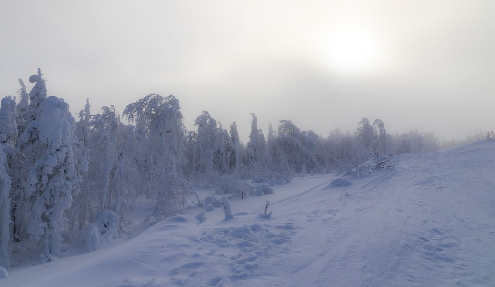 Фотография автора Каргин Валерий