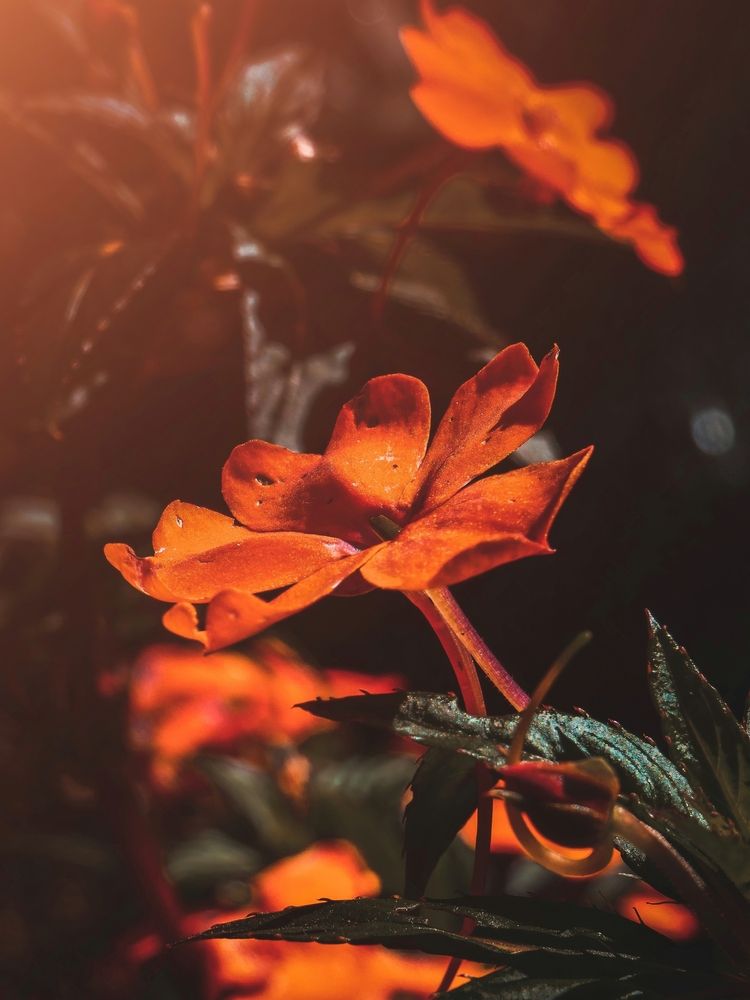 Photograph by Emmanuel Garcia