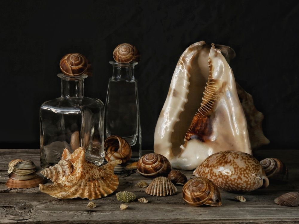 Photograph by Angelica Medvedeva