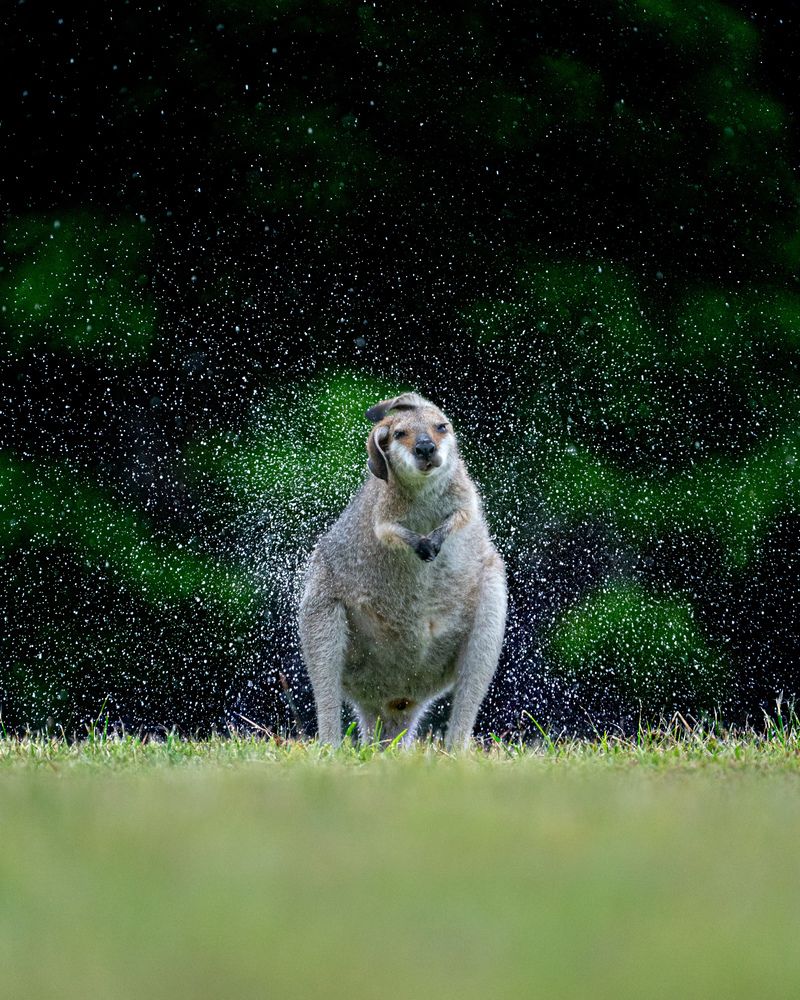 Photograph by Herald Jaison