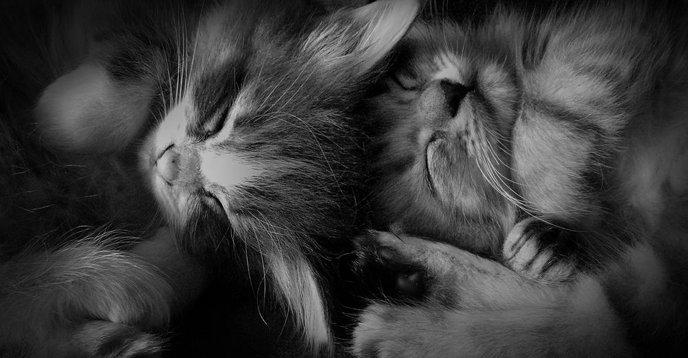 Photograph by Зоя Быкова