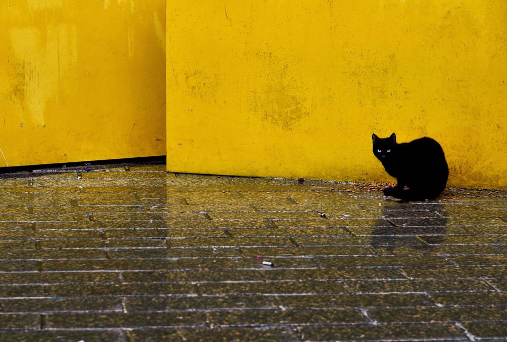 Photograph by Bekir Yesiltas