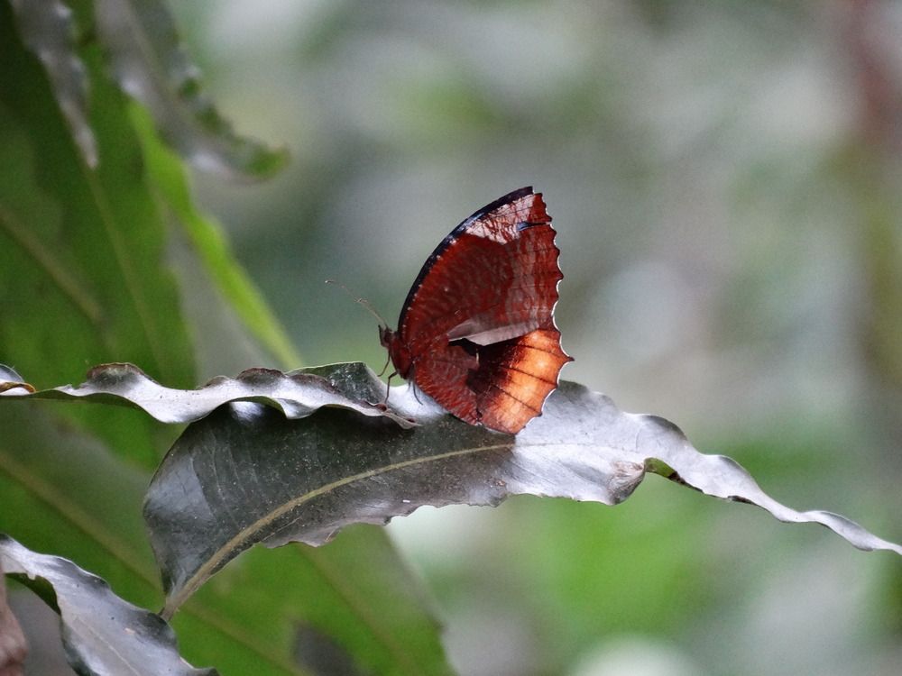 Photograph by Виктор Бута