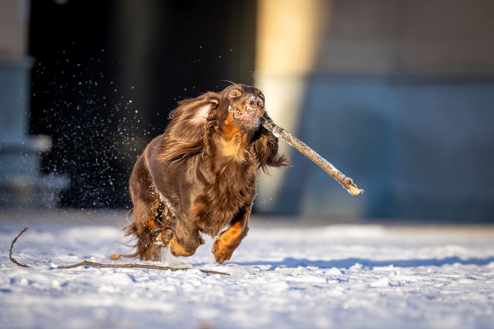 Фотография автора Дмитрий Дуров