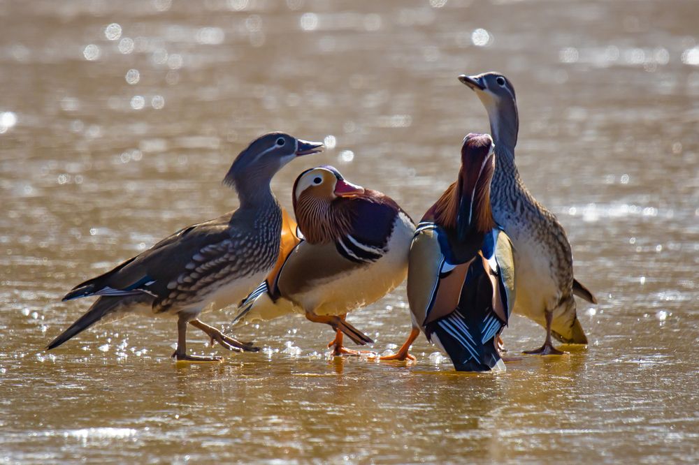 Photograph by Сергей Л