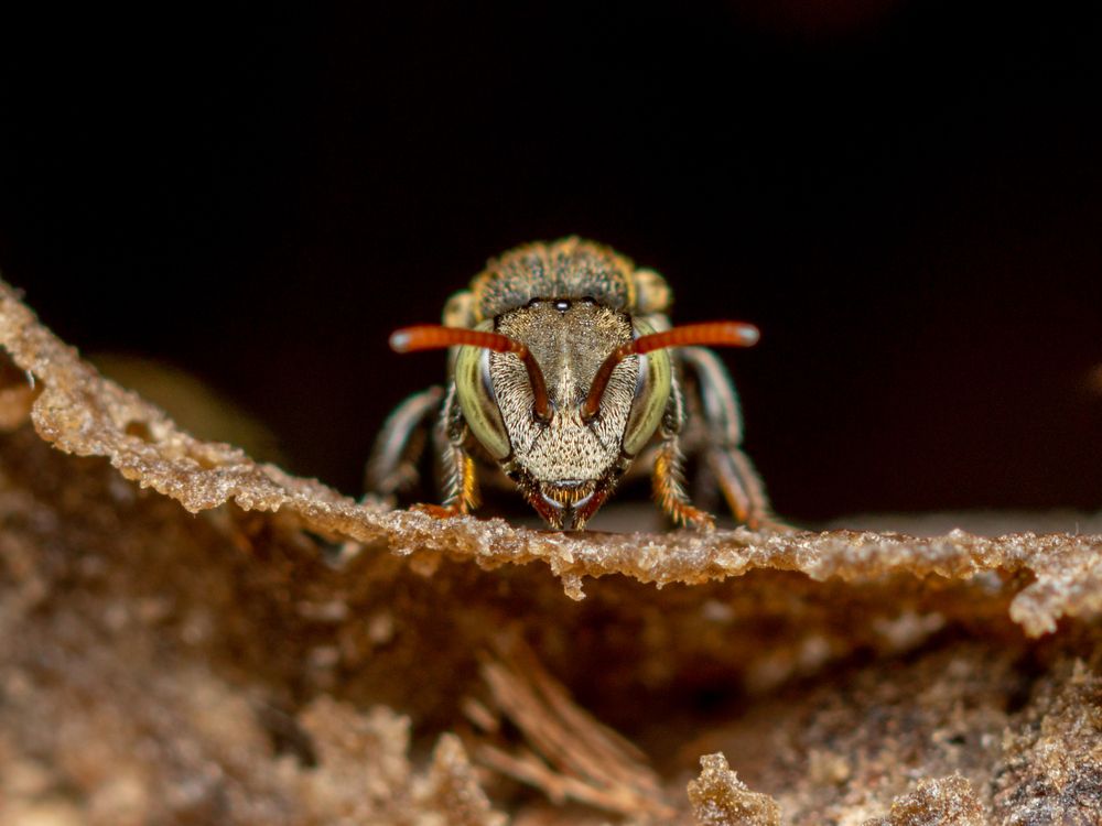 Photograph by Jose Martin Ceja Medina