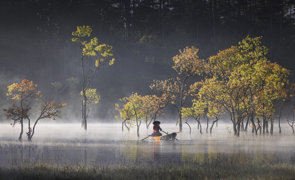 Фотография автора NGUYEN NGOC SON
