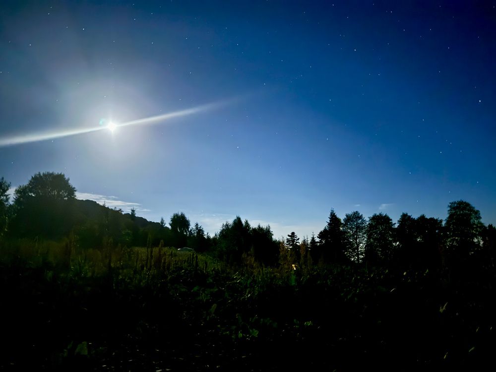 Photograph by Екатерина Рекина