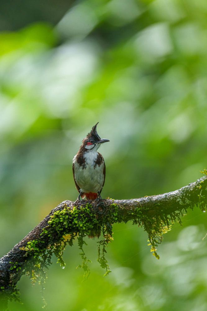 Фотография автора Hari Venkatesh