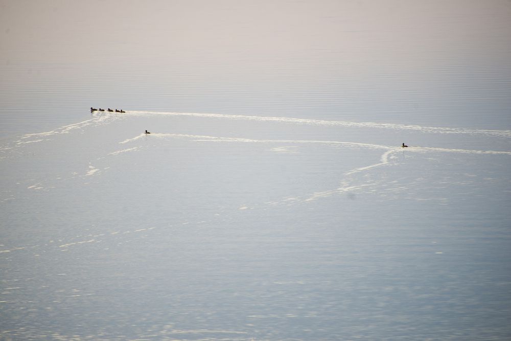 Photograph by Сергей Богородский