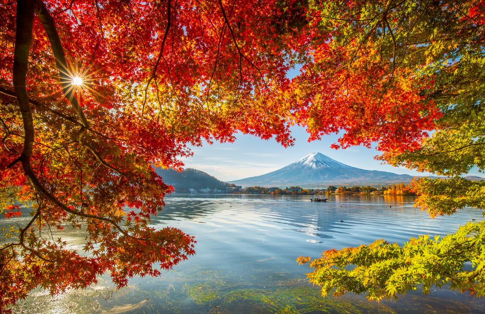 Autumn Mount Fuji.