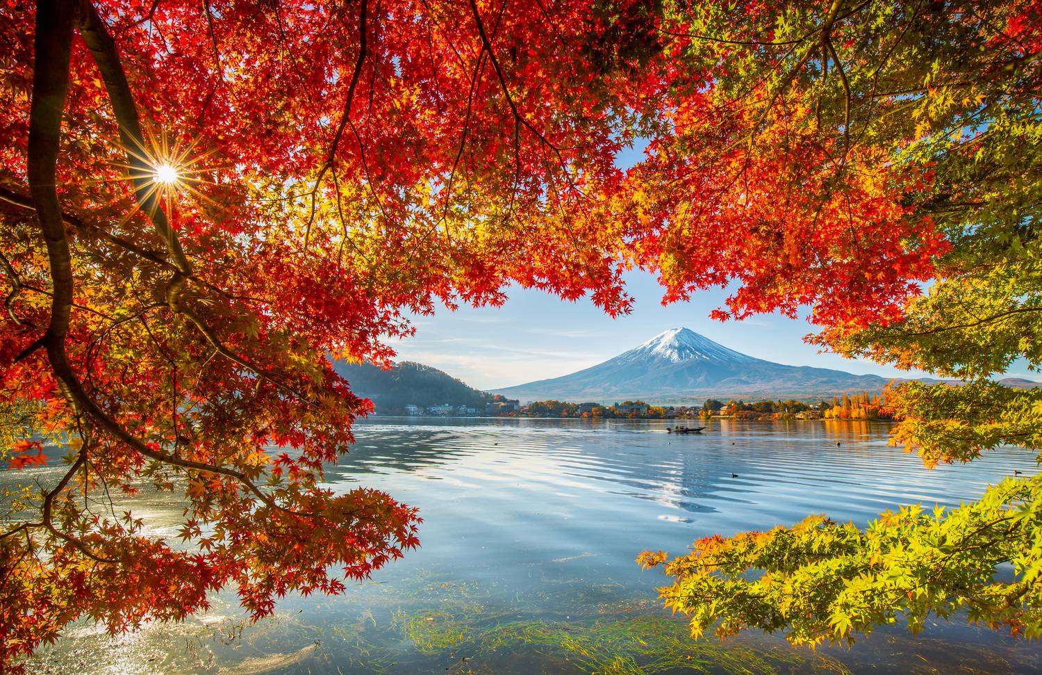Autumn Mount Fuji.