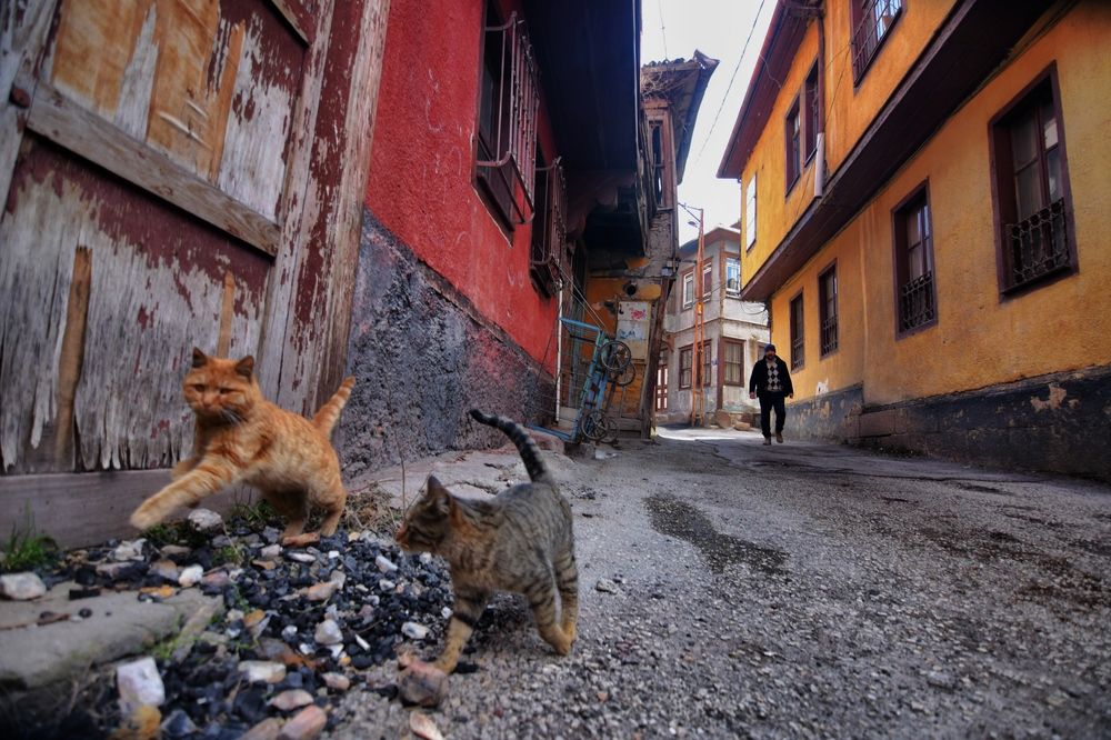 Photograph by Süleyman Ülker