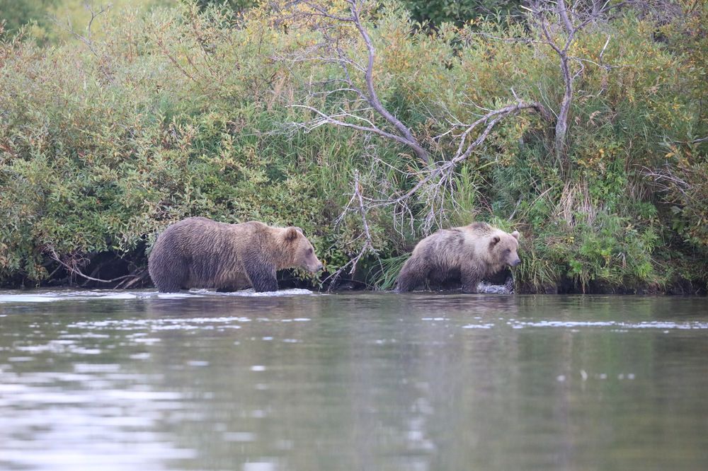Photograph by Одаренко Ольга