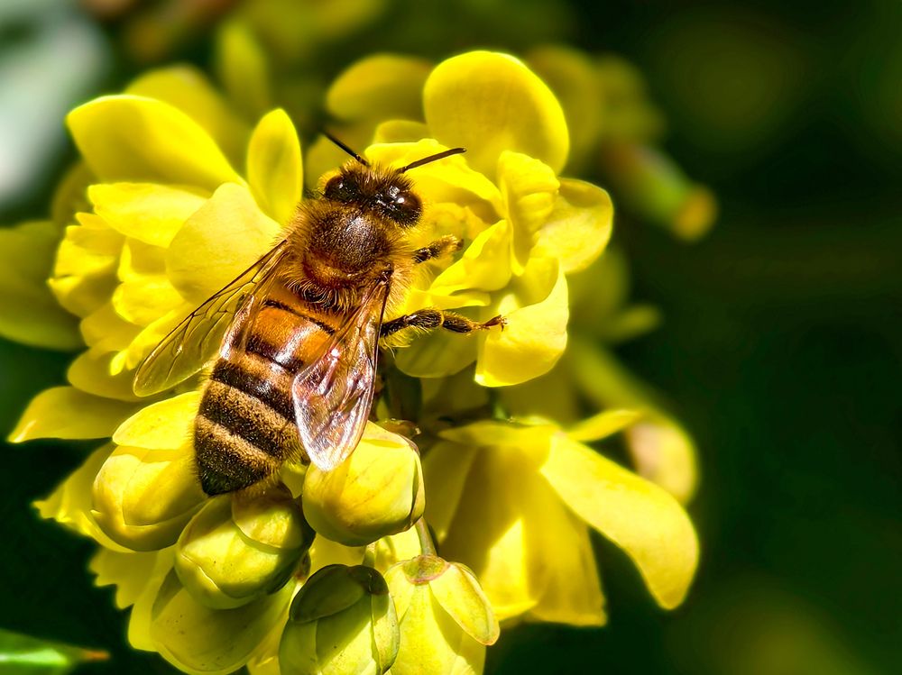 Photograph by Светлана Мишенина