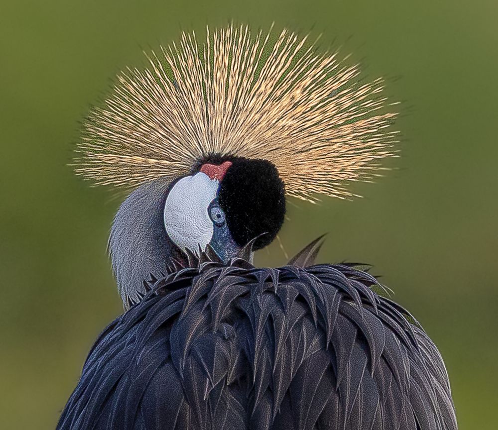 Фотография автора MOHAMED ISMAIL