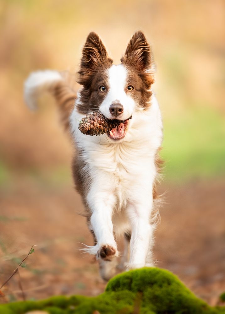Photograph by Noa Táboas
