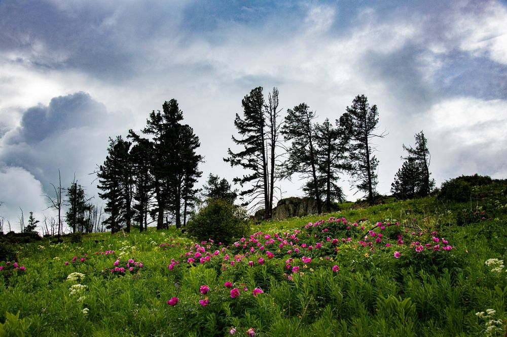 Photograph by Валентин Казанцев