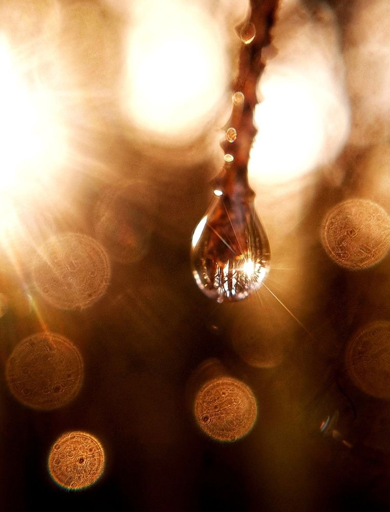 Photograph by Инна Мухина