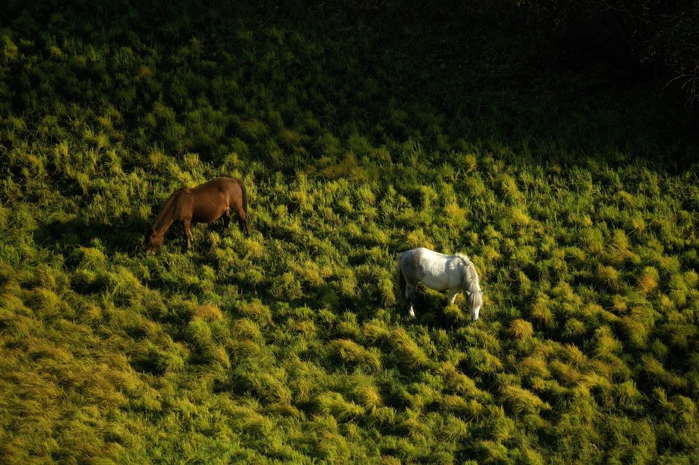 Photograph by Николай Алексеев