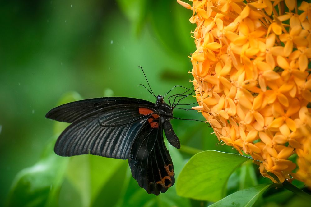 Photograph by Do Thi Thanh Binh