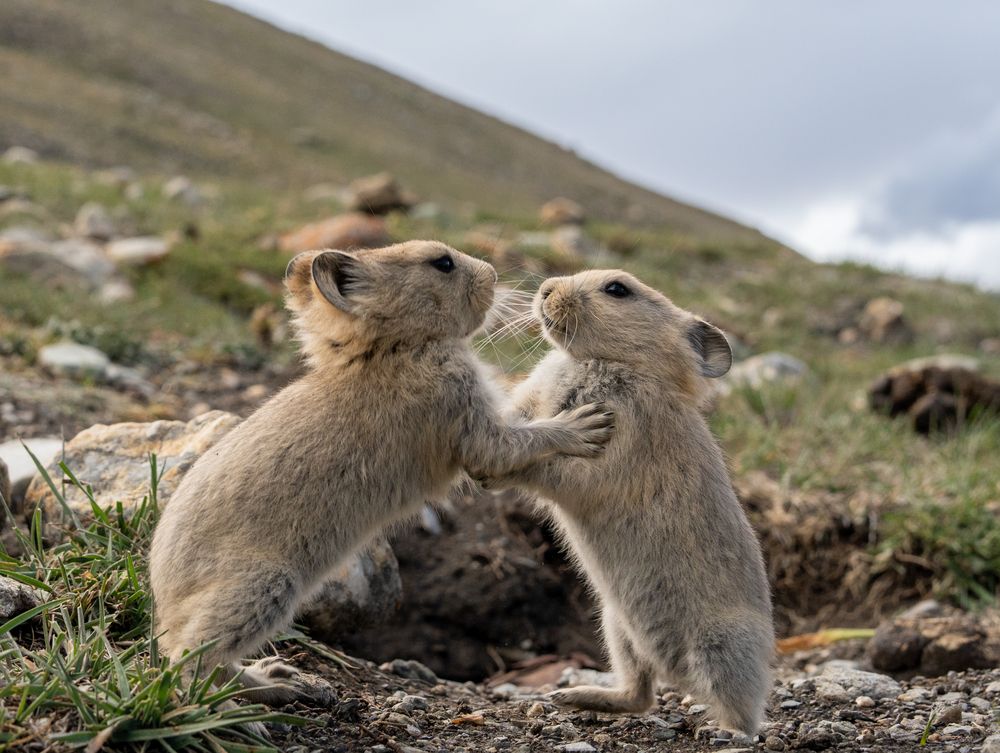 Photograph by Владимир Цветов