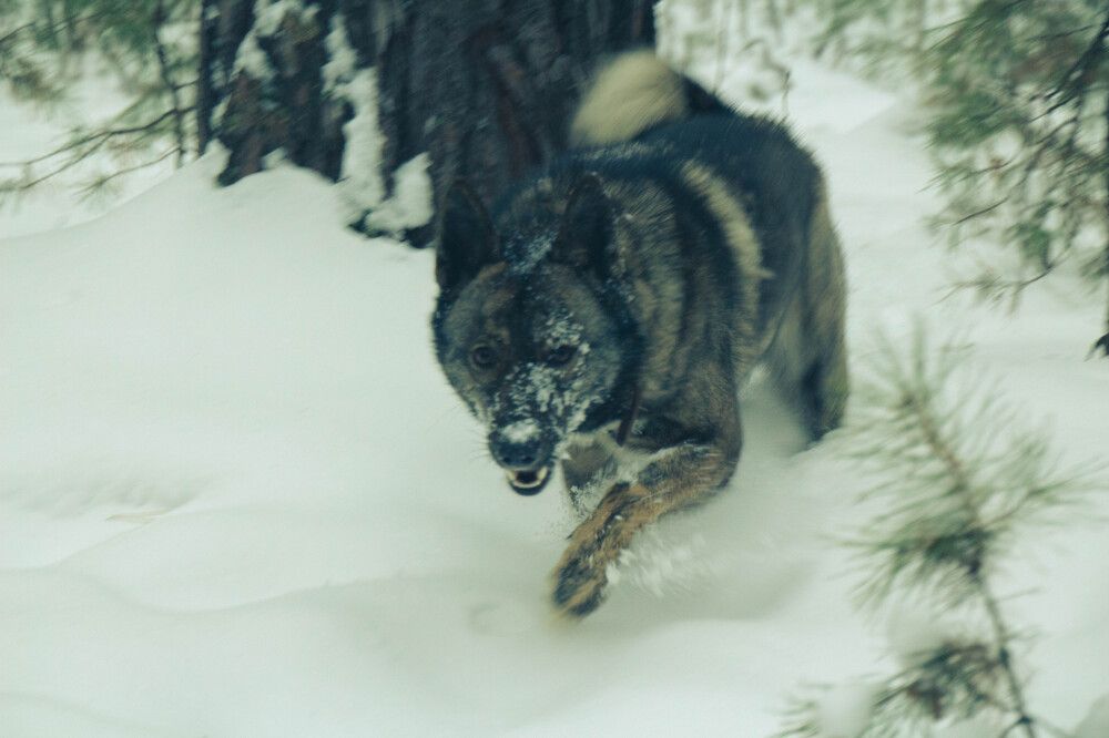 Photograph by Наталья Веряскина