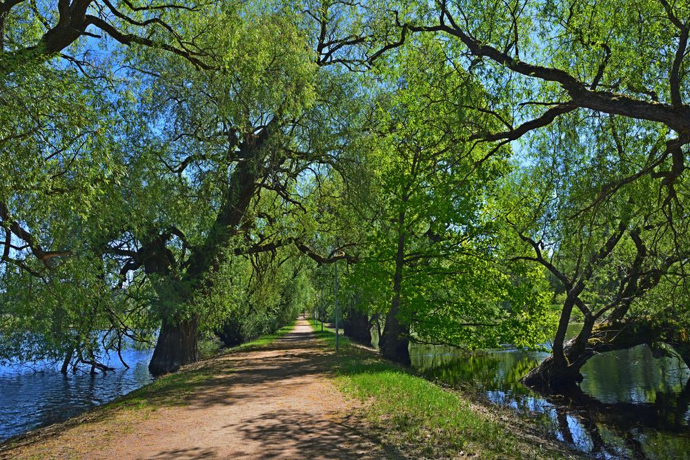 Photograph by Александр Калегин