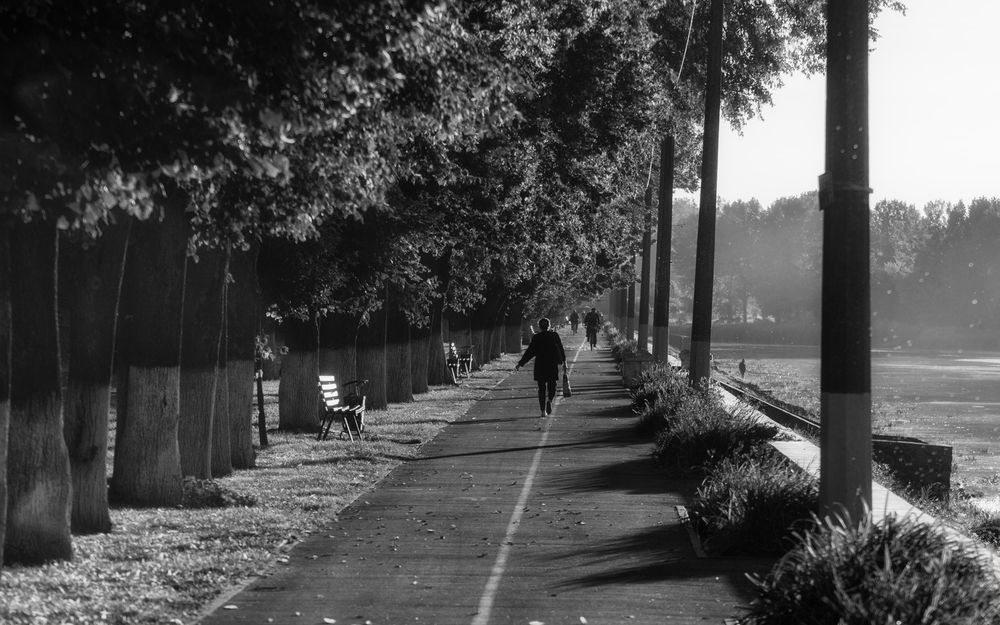 Photograph by Сергей Дишук