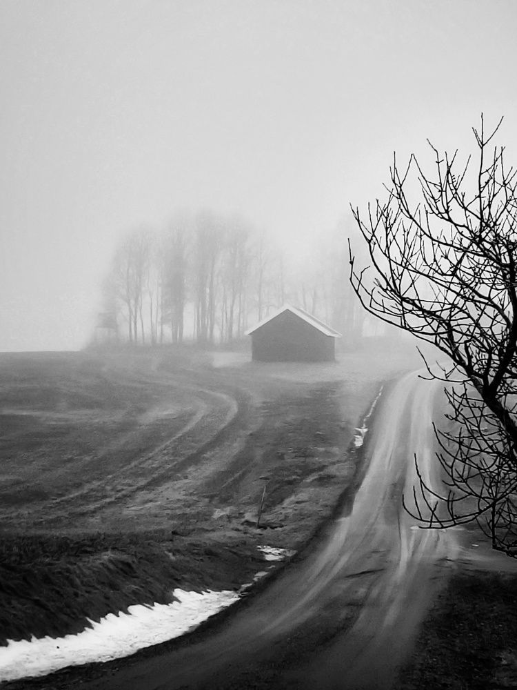 Фотография автора Alina Filimonova