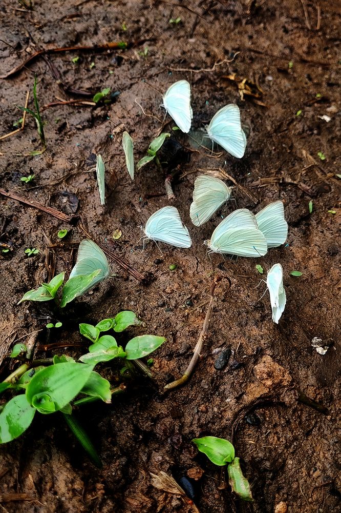 Photograph by Silvana Córdoba