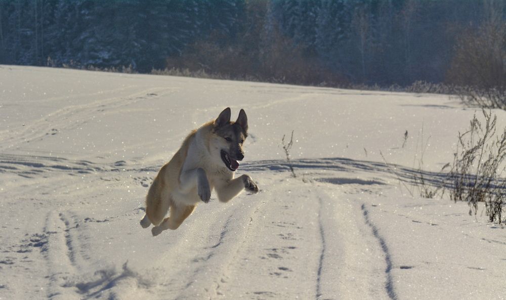 Photograph by Юрий Митенёв