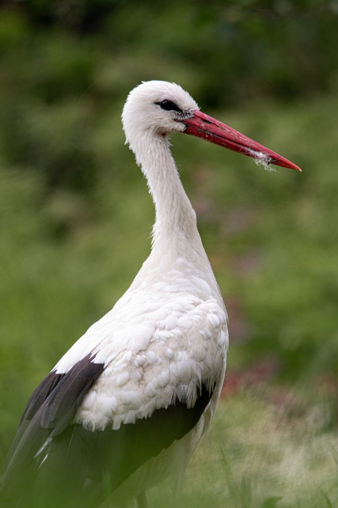 Фотография автора Alyona Madsen